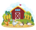 Birds on the farm. Chickens with chickens and a family of ducks with ducklings